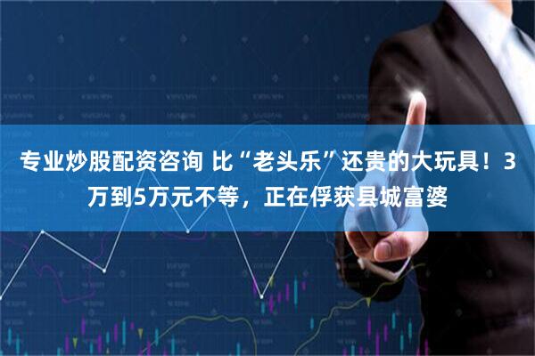专业炒股配资咨询 比“老头乐”还贵的大玩具！3万到5万元不等，正在俘获县城富婆