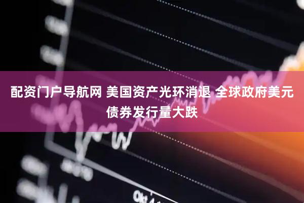 配资门户导航网 美国资产光环消退 全球政府美元债券发行量大跌
