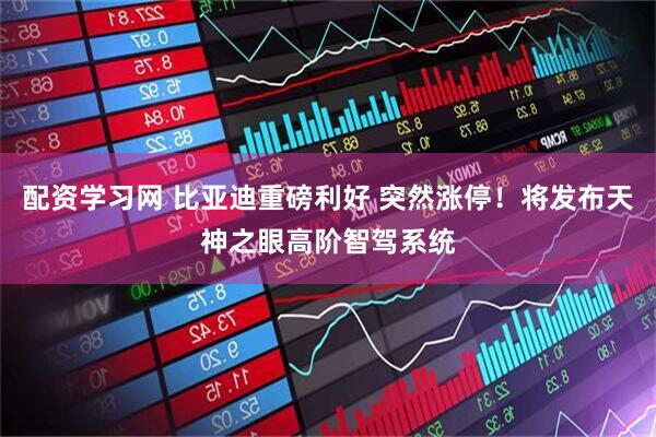 配资学习网 比亚迪重磅利好 突然涨停！将发布天神之眼高阶智驾系统
