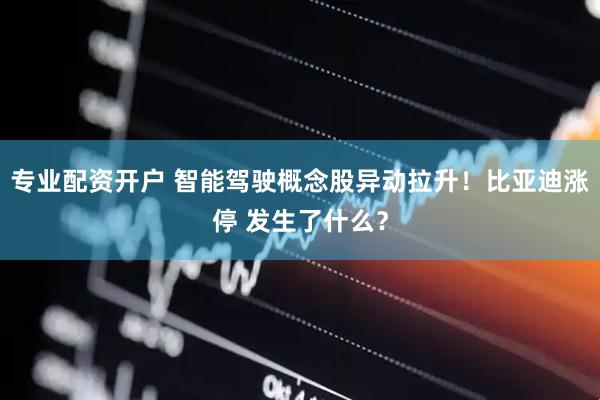 专业配资开户 智能驾驶概念股异动拉升！比亚迪涨停 发生了什么？